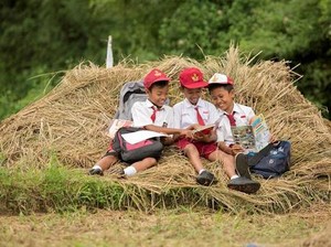 Bangkit Pulihkan Negeri untuk Indonesia Maju