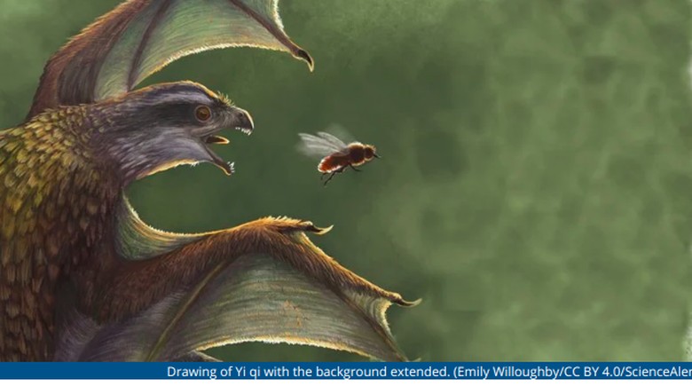 Dinosaurus Dinosaurus