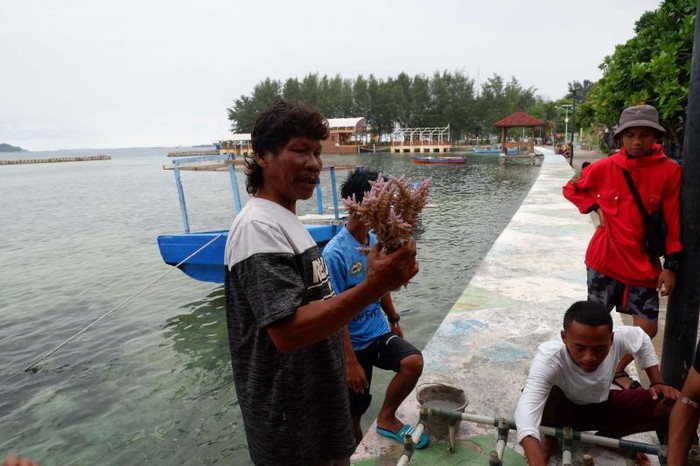 Foto: 5 Keseruan yang Bisa Dilakukan di Pulau Pramuka Foto: 5 Keseruan yang Bisa Dilakukan di Pulau Pramuka