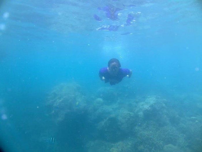 Foto: 5 Keseruan yang Bisa Dilakukan di Pulau Pramuka