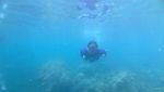 Foto: 5 Keseruan yang Bisa Dilakukan di Pulau Pramuka