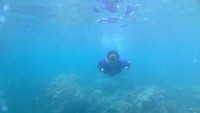 Snorkeling di lautnya yang jernih. (Foto: Gema Bayu Samudra/dtraveler)