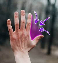foto unik pengetahuan
