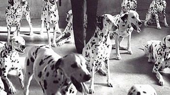Keren gak nih John Wick berkolaborasi dengan anjing Dalmatian. Foto: Instagram/pixelfaker