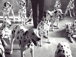 Kocak! Ketika Karakter Film Beda Judul Ini Disatukan