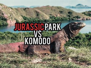 Jurassic Park Vs Komodo