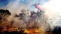 Kebakaran yang melanda lahan seluas 16 km persegi di wilayah Silverado semakin meluas. AP Photo/Noah Berger  