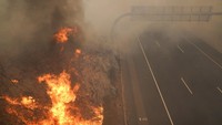 Api yang bergerak cepat mengharuskan evakuasi 60 ribu orang di California Selatan pada hari Senin. AP Photo/Jae C. Hong  