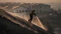 Kebakaran hutan pun mulai melanda kawasan penduduk di kota Irvine yang merupakan rumah bagi sekitar 280 ribu penduduk. AP Photo/Jae C. Hong  