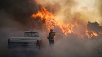 Ribuan pemadam kebakaran pun telah dikerahkan untuk memadamkan kebakaran hutan tersebut. AP Photo/Jae C. Hong  