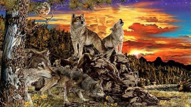 tes psikologi Tes Kepribadian