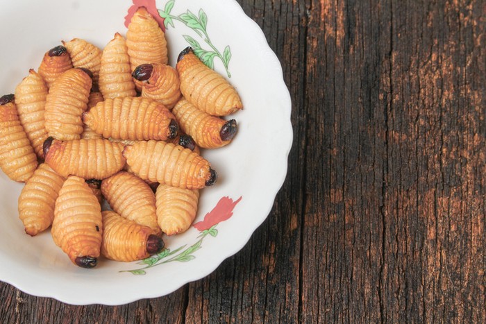 Ulat sagu 5 Fakta Ulat Sagu, Kuliner Ekstrem yang Kaya Nutrisi