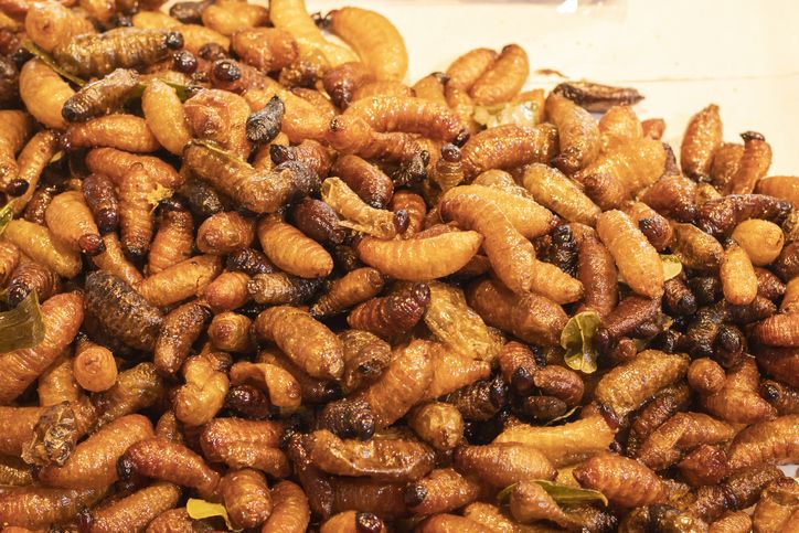5 Fakta Ulat Sagu, Kuliner Ekstrem yang Kaya Nutrisi