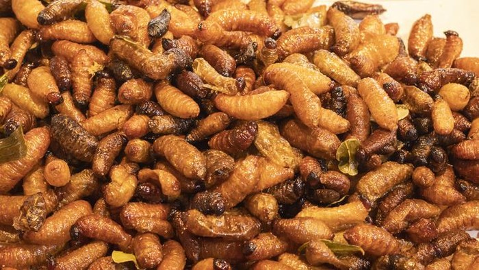 5 Fakta Ulat Sagu, Kuliner Ekstrem yang Kaya Nutrisi