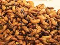 Mengenal Kidu-Kidu, Hidangan Unik Khas Karo Berbahan Ulat Sagu