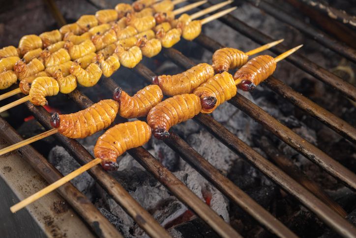 5 Fakta Ulat Sagu, Kuliner Ekstrem yang Kaya Nutrisi