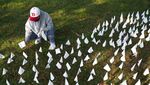 240 Ribu Bendera Putih Jadi Tanda Penghormatan Korban COVID-19 di AS