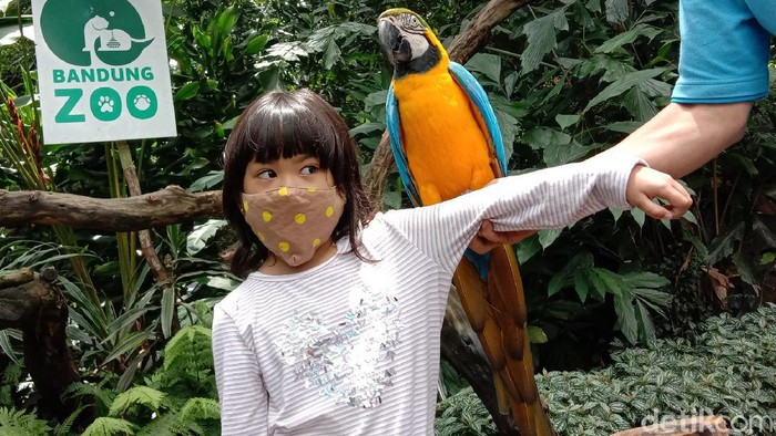 Bandung Zoo