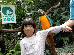 Cuti Bersama, Bandung Zoo Perketat Protokol Kesehatan