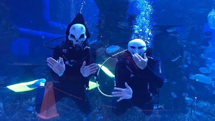 Jakarta Aquarium di momen Oktober.
