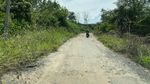Jalan Provinsi di Lampung Rusak Parah