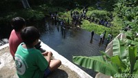 Aktivitas tersebut menjadi tontonan beberapa anak-anak.