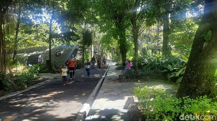 kebun binatang surabaya