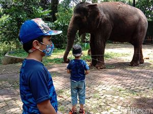 Long Weekend, Kebun Bintang Bandung Perketat Protokol Kesehatan