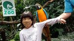 Long Weekend, Kebun Bintang Bandung Perketat Protokol Kesehatan