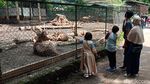Long Weekend, Kebun Bintang Bandung Perketat Protokol Kesehatan