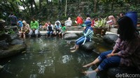 Masjid ini juga terlihat asri karena dikelilingi pohon yang menghijau. Selain itu juga ada kolam berisi ikan untuk terapi.