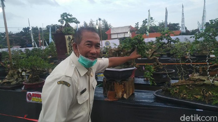 Pameran Bonsai di Lamongan