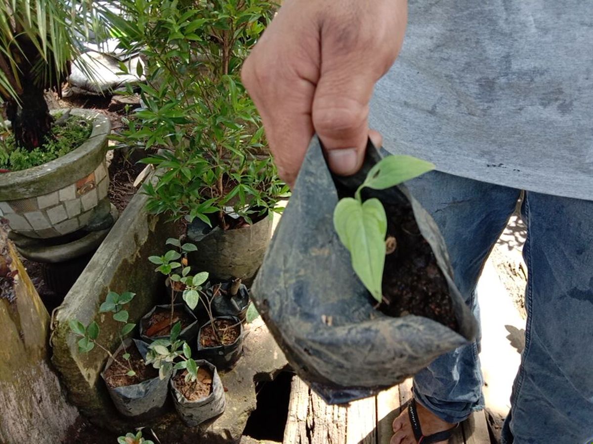 Iblis iblis bilan jinsiy aloqa Ular mening portlashimni tugatishimga tosqinlik qilishdi.