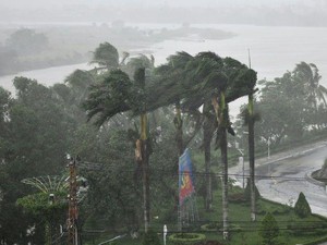 Topan Molave Terjang Vietnam, 2 Orang Tewas dan 26 Hilang
