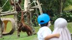 Deretan Tempat Wisata Ini Diserbu Pengunjung Saat Libur Maulid Nabi