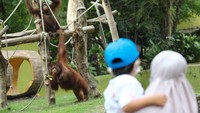 Tempat wisata tersebut menjadi salah salah satu destinasi wisata di Surabaya yang ramai dikunjungi wisatawan saat liburan panjang. ANTARA FOTO/Didik Suhartono.