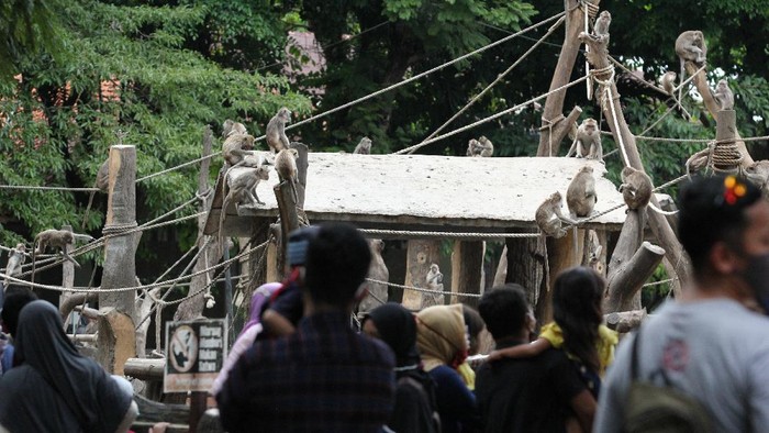 Deretan Tempat Wisata Ini Diserbu Pengunjung Saat Libur Maulid Nabi Sejumlah tempat wisata di berbagai daerah di Indonesia ramai didatangi oleh wisatawan saat libur panjang. Tak sedikit diantaranya datang bersama keluarga.