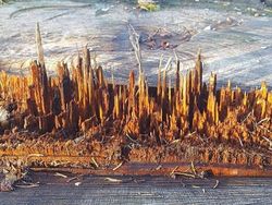 Hati-hati Terkecoh, Lihat Dua Kali Gambar Ini Biar Lebih Jelas