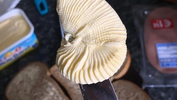 Sekilas mirip cangkang fosil, tapi sejatinya mentega lunak di pisau roti. Foto: Brightside