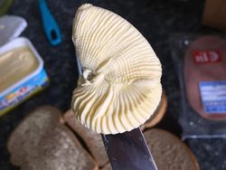 Hati-hati Terkecoh, Lihat Dua Kali Gambar Ini Biar Lebih Jelas