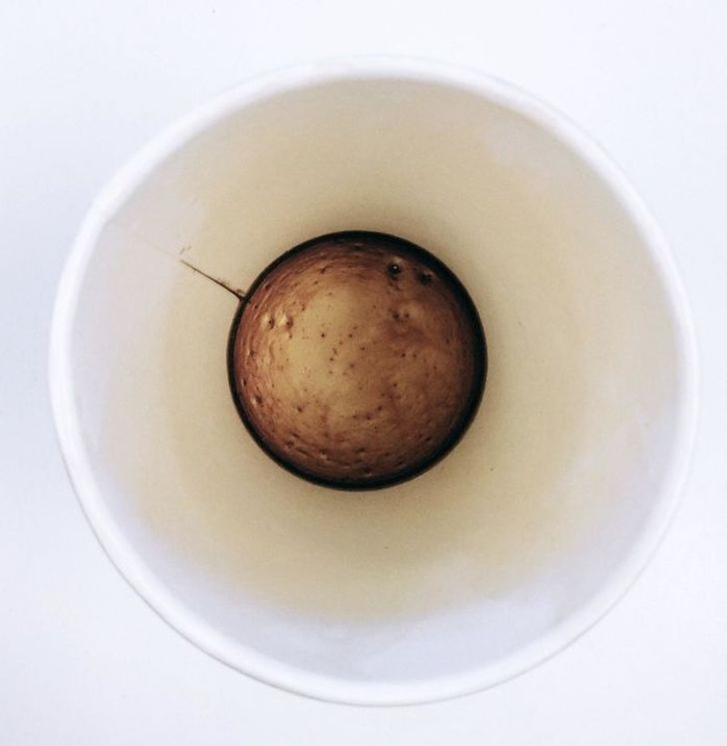 Gambar pengecoh mata