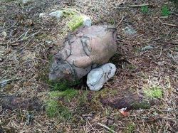 Hati-hati Terkecoh, Lihat Dua Kali Gambar Ini Biar Lebih Jelas