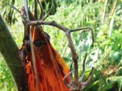 Hati-hati Terkecoh, Lihat Dua Kali Gambar Ini Biar Lebih Jelas