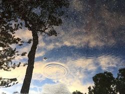 Hati-hati Terkecoh, Lihat Dua Kali Gambar Ini Biar Lebih Jelas