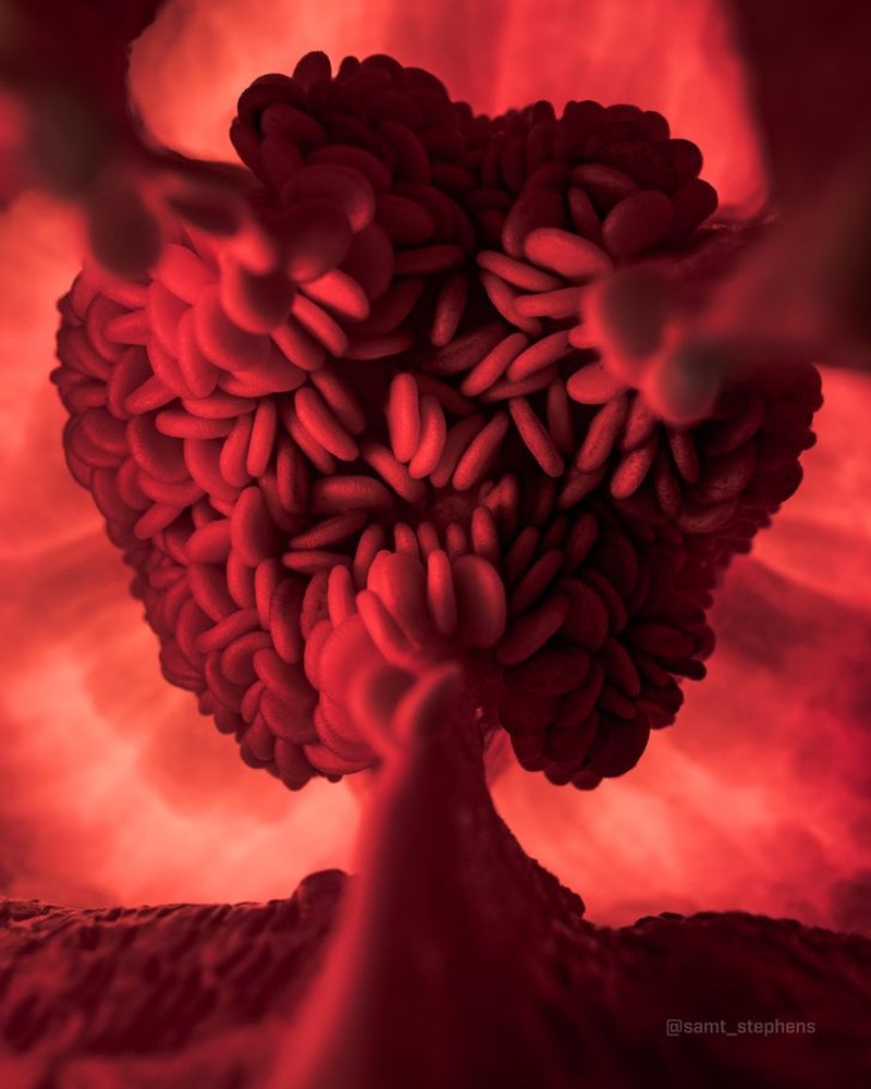 Gambar pengecoh mata