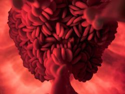 Hati-hati Terkecoh, Lihat Dua Kali Gambar Ini Biar Lebih Jelas