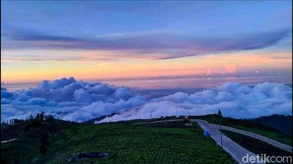 Jalur ke Dieng yang satu ini, memang sudah tidak asing lagi. Pemandangannya yang exotic, membuat siapapun betah berlama-lama di jalur sepanjang 8,9 Km  dengan lebar 5 M, menuju pintu masuk Banjarnegara ke Dieng (Robby Bernardi/detikTravel)