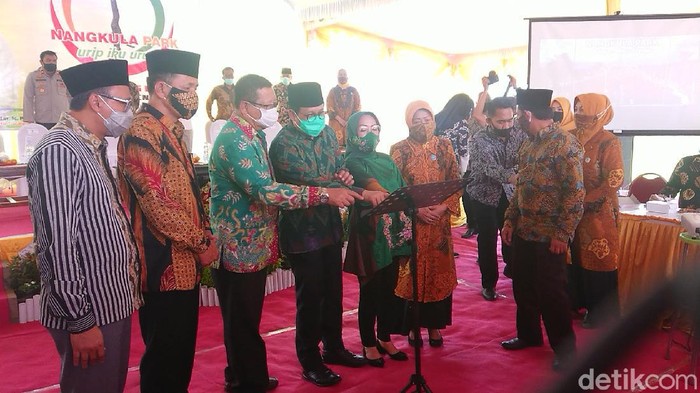 Mendes PDTT Abdul Halim Iskandar