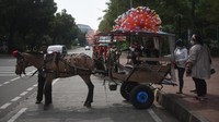 Momen libur panjang dan cuti bersama seperti saat ini kerap dinanti para kusir delman, pasalnya tak sedikit warga yang mendatangi tempat-tempat wisata di Ibu Kota bersama keluarga.