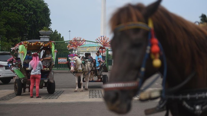 Kusir delman di Ibu Kota kerap kebagian rezeki saat momen libur panjang karena ramainya wisatawan. Namun, pandemi Corona turut beri dampak pada pemasukan mereka